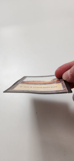 Magic the Gathering APAC Plains MTG - Damaged / Heavily Played - Authentic Promo - Image 2