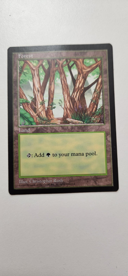 Magic the Gathering APAC Forest MTG - Damaged / Heavily Played - Authentic Promo - Image 1