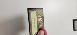 Magic the Gathering APAC Forest MTG - Damaged / Heavily Played - Authentic Promo - Image 2
