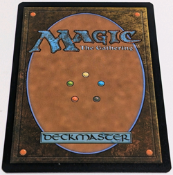 (4x) Firion, Wild Rose Warrior - Final Fantasy MTG (NM) - Image 2