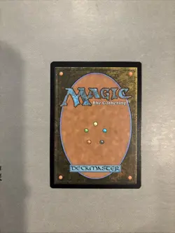 ~ Plaza of Heroes (0033) (Borderless) ~ NM ~ Stellar Sights ~ MTG ~ - Image 2