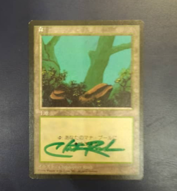MTG Japanese Forest FBB Signed Christopher Rush - Image 1