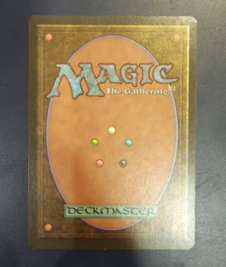 MTG Japanese Forest FBB Signed Christopher Rush - Image 2