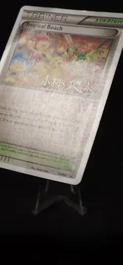 Pokemon Tropical Beach 2014 (Haruto Kobayashi) BW50 World Championship Decks HP - Image 4