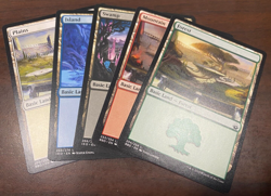 Lot of 1,000 Basic Lands - MTG NM Island Swamp Mountain Plains Forest - Image 1