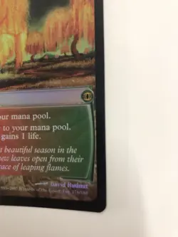 Grove of the Burnwillows Future Sight Foil - Image 3