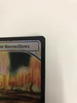 Grove of the Burnwillows Future Sight Foil - Image 4