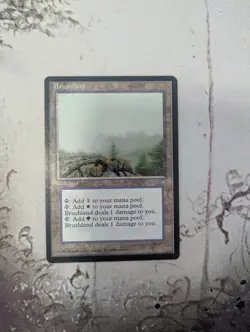 Brushland Ice Age Regular - Image 1