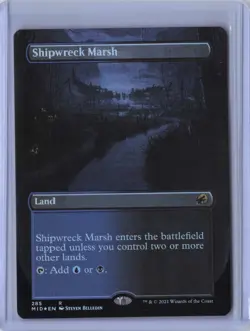 Shipwreck Marsh (Borderless) 285 - MID Foil PTCG NM - Image 1