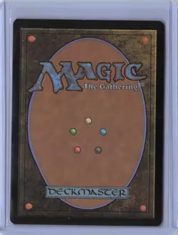 Shipwreck Marsh (Borderless) 285 - MID Foil PTCG NM - Image 2