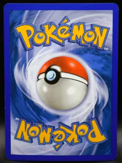 Pokemon Torchic 008 Black Star Promo Reverse Holo (See HD Pics for Condition) - Image 2