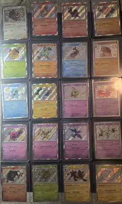 Pokemon Paldean Fates Baby Shiny Lot of 43 Cards English Holo - Pack Fresh NM 🔥 - Image 1