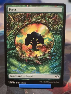 Forest (0291) Tarkir: Dragonstorm Regular - Image 1