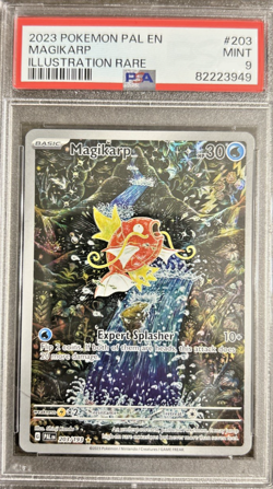 Pokemon Magikarp Illustration Rare Paldea Evolved #203 PSA 9 Mint English 2023 - Image 1