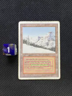 Taiga - Revised Edition - Dual Land - Vintage MTG - LP/MP - 1994 - Image 1