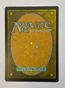 MTG - Secret Lair - Featuring: Julie Bell - Coat of Arms - Non-Foil - NM - Image 2