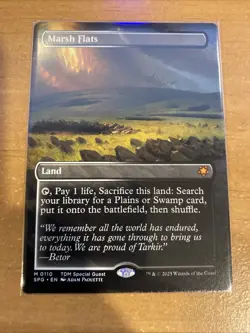 MTG Marsh Flats BORDERLESS Special Guests 110 NM! - Image 1