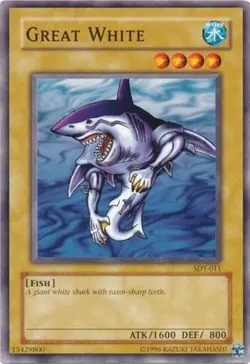Yugioh! HP Great White - SDY-011 - Common - Unlimited Edition Heavily Played, En - Image 1