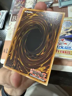 Yugioh Bramble Rose Dragon DOOD-EN039 Starlight Rare 1st Edition NM - Image 5