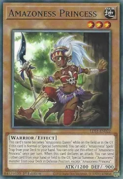 Amazoness Princess Yu-Gi-Oh! LDS1-EN022 1st Common - Image 1