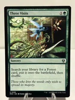 Three Visits 189 U Commander: Murders at Karlov Manor NM MTG - Image 1