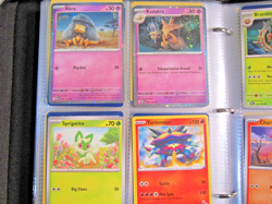 Pokemon Card Collection-360 Cards (READ DESCRIPTION) - Image 2