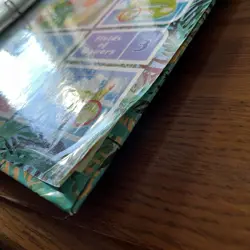 Pokemon TCG Vintage 2001 Southern Islands Binder - Binder Only No Cards - Image 5