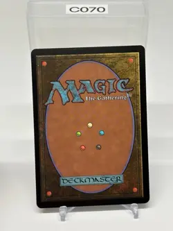Spore Frog MTG Prophecy Common LP Lightly Played Single Card - Image 2