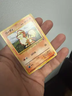 Growlithe No. 058 #1 Intro Pack Squirtle Deck Japanese Pokemon 1999 - Image 4