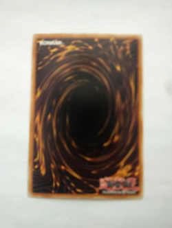 YuGiOh Armored Lizard Dark Beginnings 1 DB1-EN143 Unlimited - Image 3