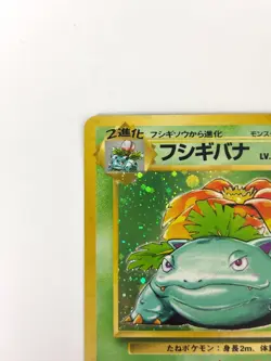NM- Pokemon Card Venusaur LV.67 No.003 HOLO OLD BACK JAPAN - Image 2