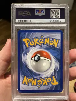 2005 Pokemon Ludicolo #19 Deoxys Reverse Holo PSA 8 - Image 2