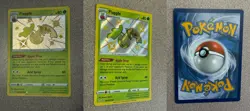 Pokemon TCG Lot Of 12 Shiny Holo Rare Cards NM Paldean/Shining/Hidden Fates Sets - Image 3