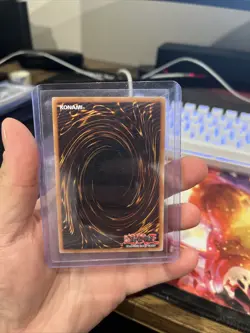 Hundred Eyes Dragon - DPC5-EN003 - Super Rare - Limited Edition - Yugioh - Image 2