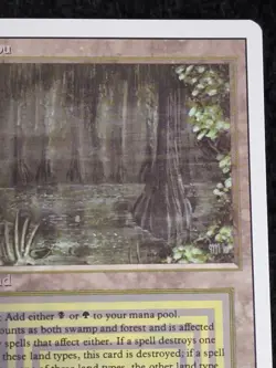 Bayou Magic the Gathering Revised Edition Authenticated - Image 3