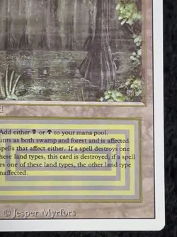 Bayou Magic the Gathering Revised Edition Authenticated - Image 5