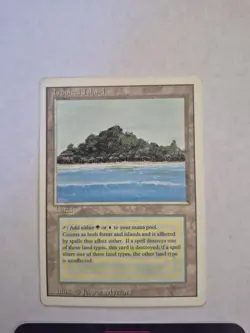 Tropical Island Revised Edition - English - LP - Magic The Gathering - - Image 2