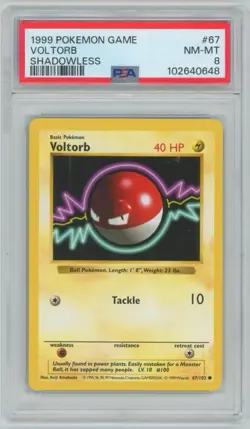 1999 Pokemon Base Set #67 Voltorb - Shadowless - PSA 8 NM-MT - Image 1