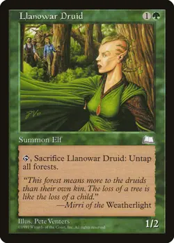 MTG - 4 x Llanowar Druid - Playset 4x x4 - Weatherlight Regular - Image 1