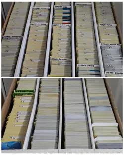 Pokemon Cards Lot Of 250 - 15 Reverse, 10 Holo NO energies/trainers/duplicates - Image 1