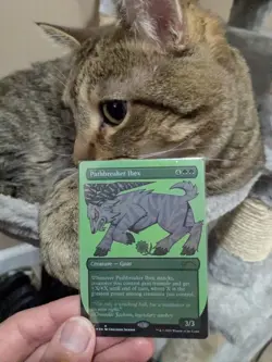 MTG: Pathbreaker Ibex FOIL ETCHED #307, NM Secret Lair Chase Creature Card!! - Image 3