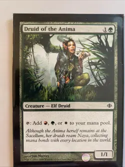 Druid of the Anima - Image 1