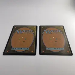 Leechridden Swamp Shadowmoor Regular X2 - Image 4