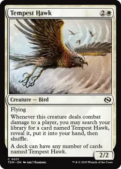 LP MTG Tempest Hawk Light Play Tarkir: Dragonstorm - Image 1
