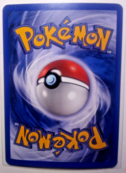 Mudkip 65/97 Reverse Holo Pokemon Card EX Dragon E Series - LP - Image 2