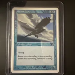 Storm Crow Seventh 7th Edition 100/350 MTG Magic The Gathering L835* - Image 1