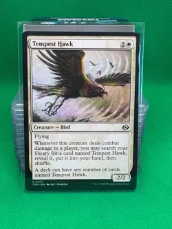MTG - Tempest Hawk #31 Tarkir: Dragonstorm - Image 1