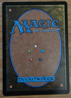 MTG - Hollowmurk Siege - RARE, MINT, Alt-Art, Borderless, Regular - TDM 0387 - Image 2