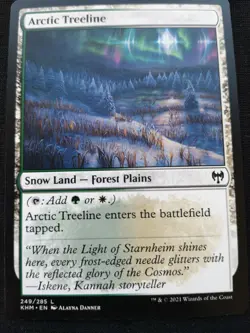 Arctic Treeline - Kaldheim - NM - EN - 249 - Image 1