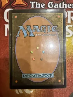 Prismatic Vista - Zendikar Rising Expeditions - MTG - Regular - NNM - Image 2